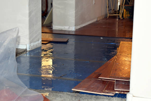 Professional Basement Water Removal technician working in Riverdale, CA